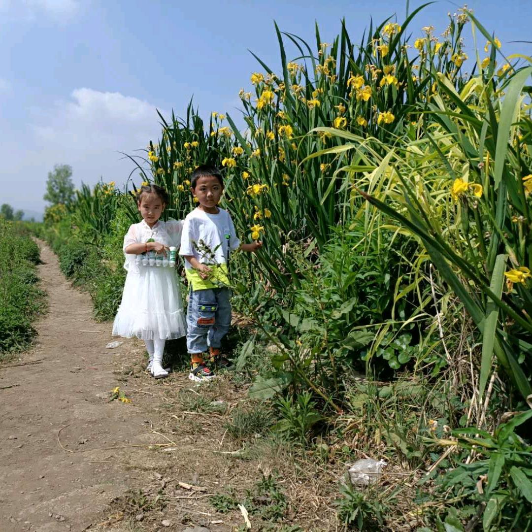 用户微笑每一天