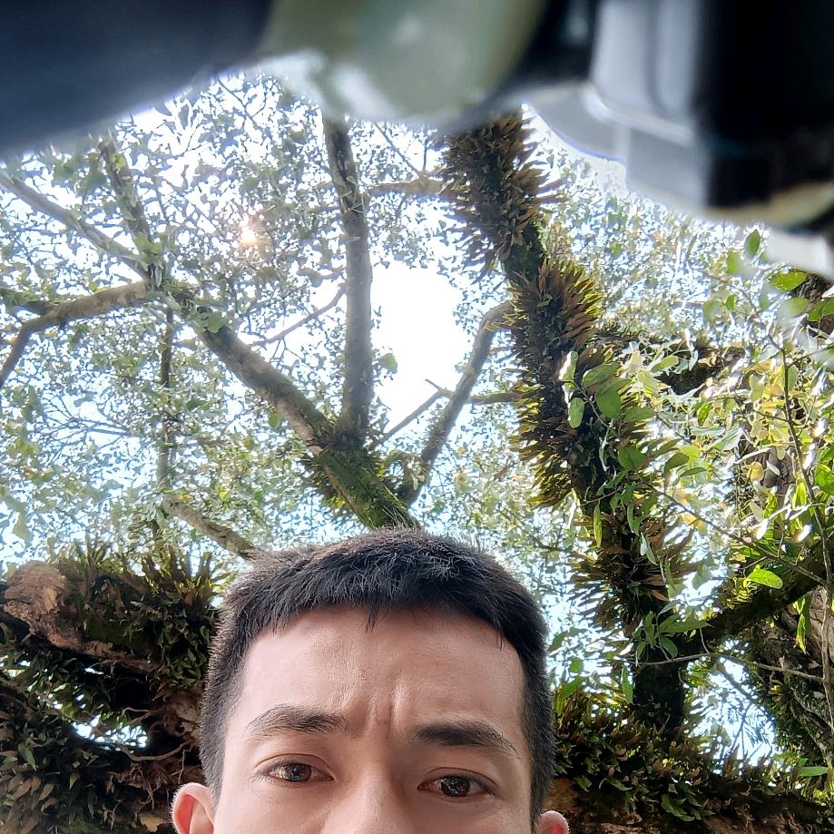 哥哥々