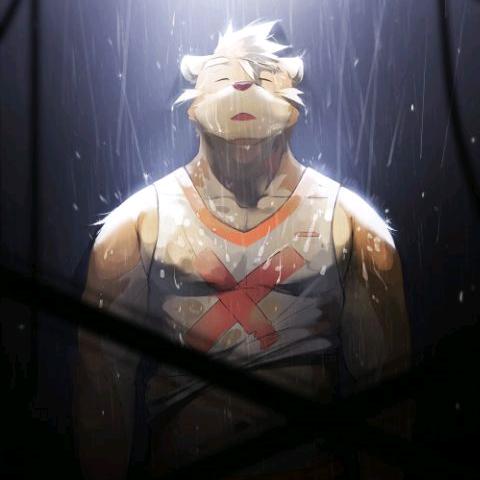 伊鸣🐾