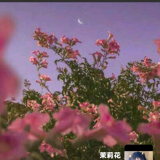 替身战 神邵经天头像