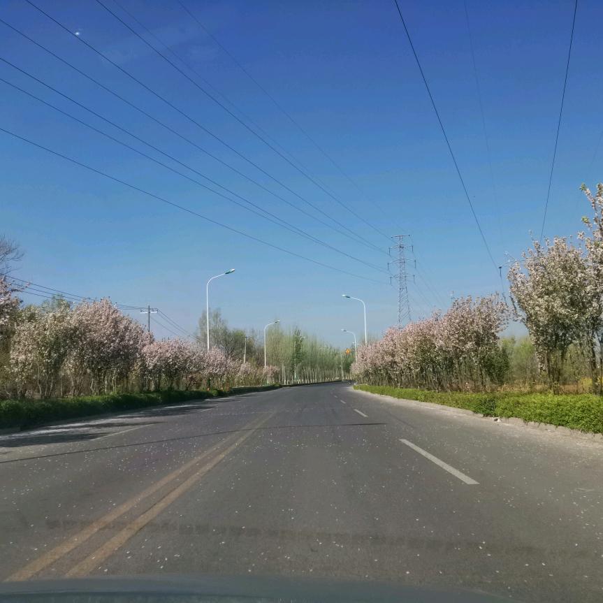 小米