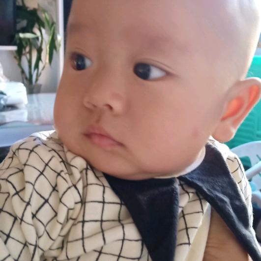 别回忆因为回不去