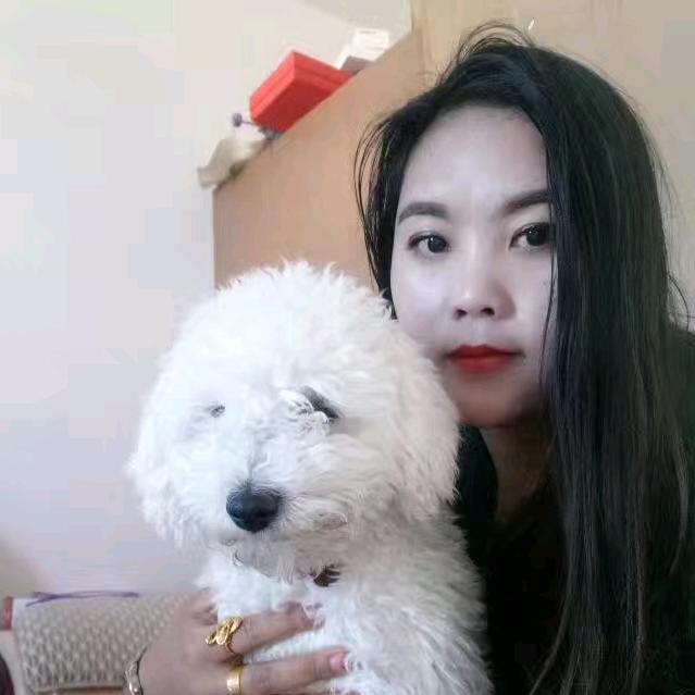 胖胖
