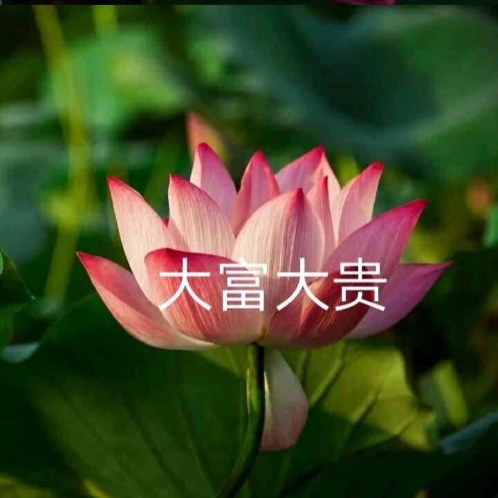 燕