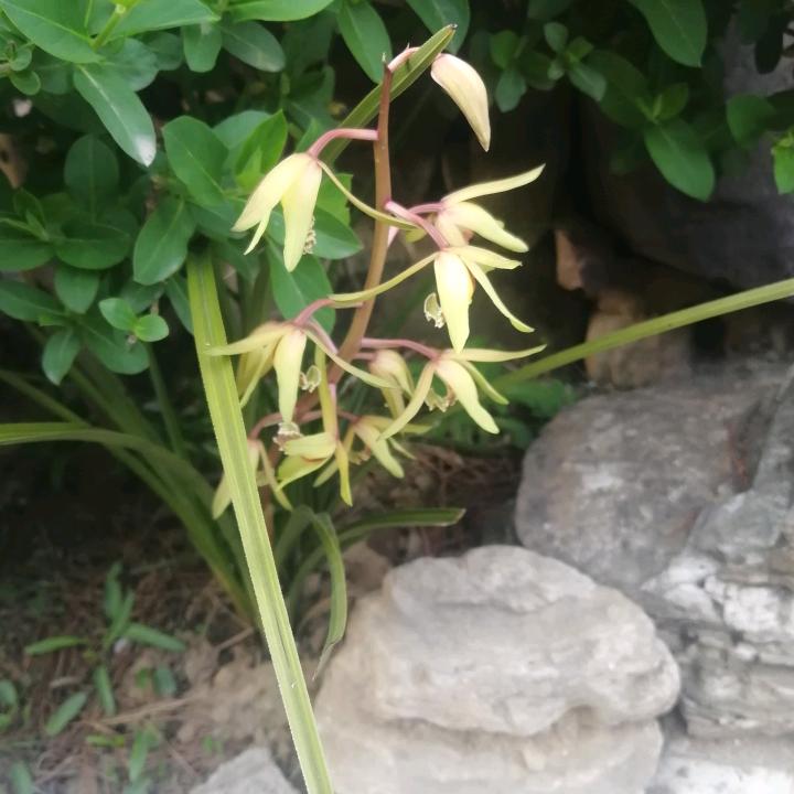 且停且行且随风