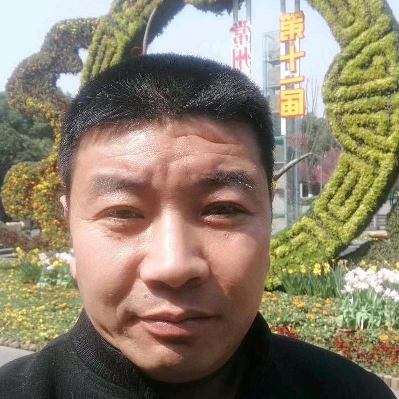 虎踞杏林