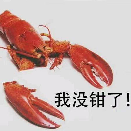 你是我的 ¾