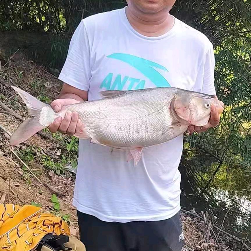 陌生人