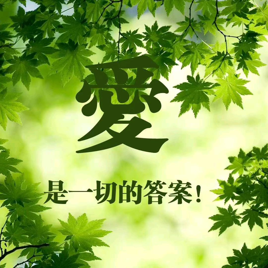 玫瑰花