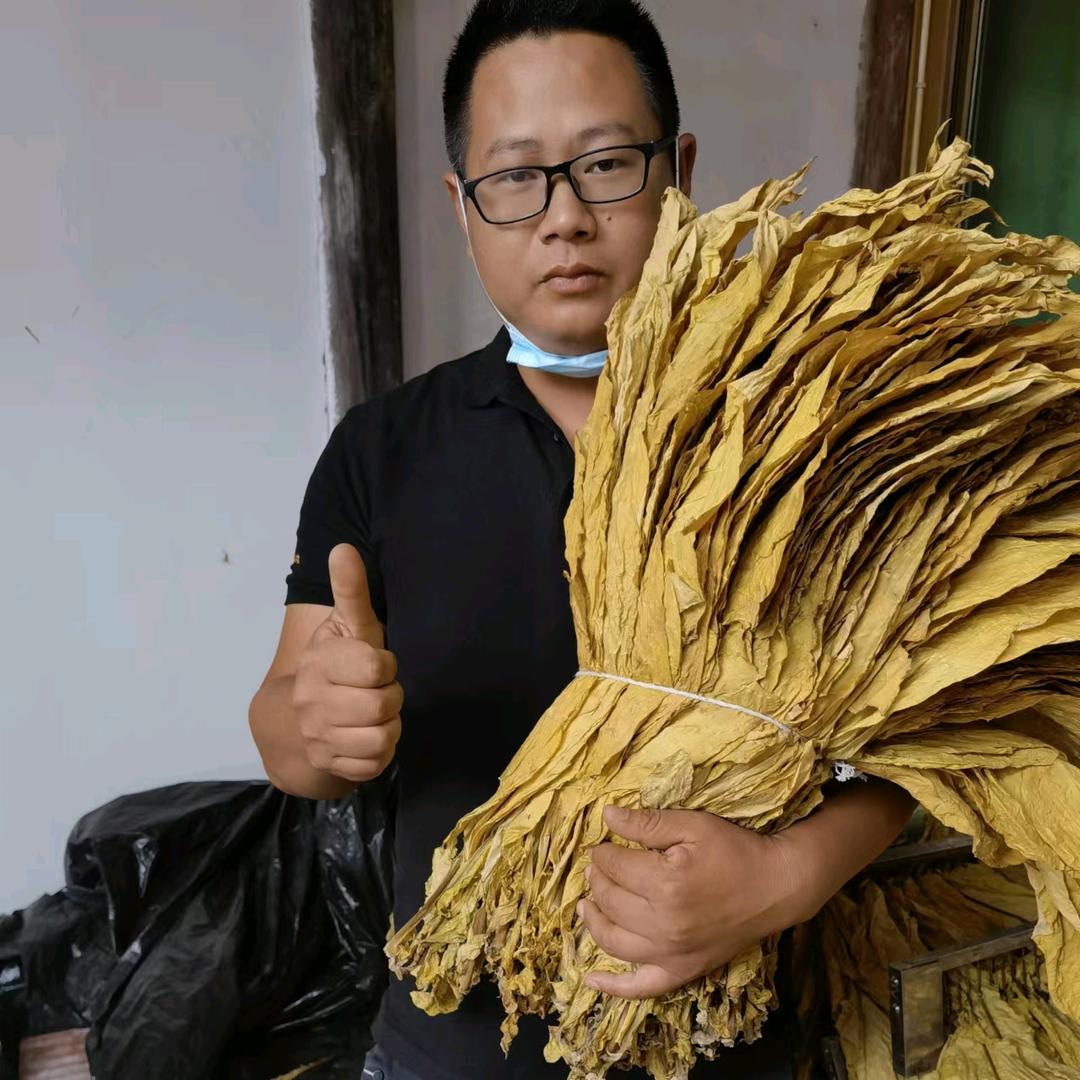 大海说农（齐朵朵、大红甲）