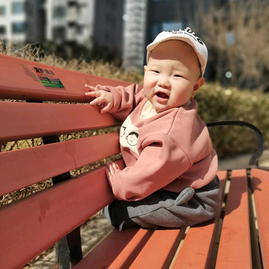 不是橘子苹果那个橙子是呈子