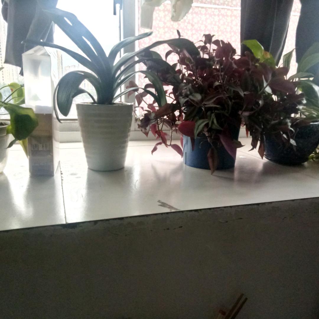心灰意冷