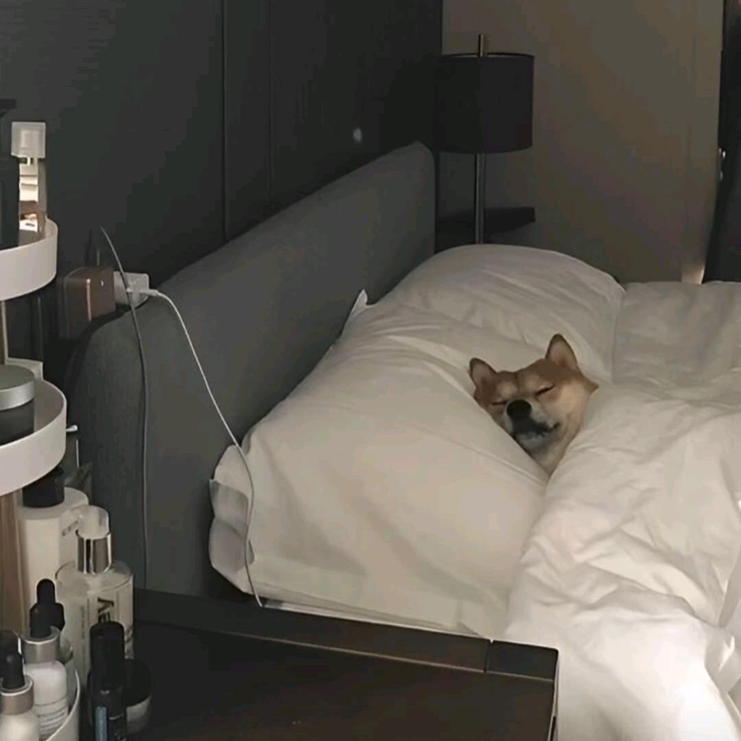 H.✨