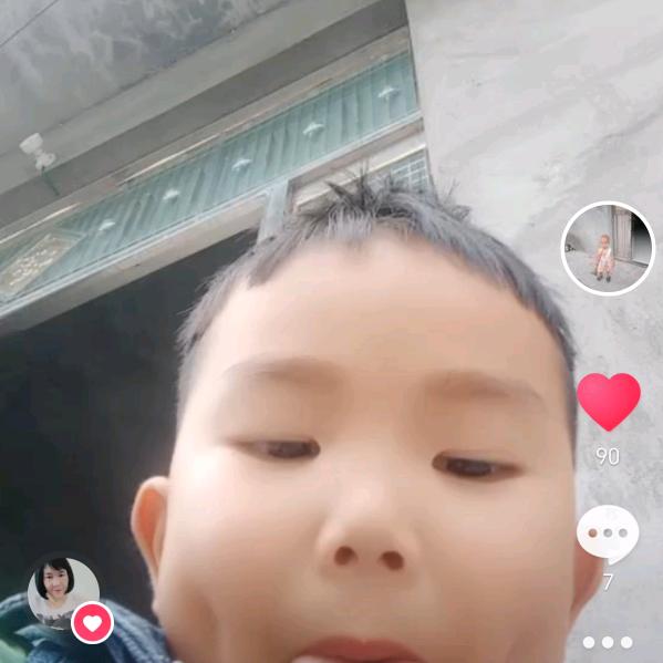 龙的传人