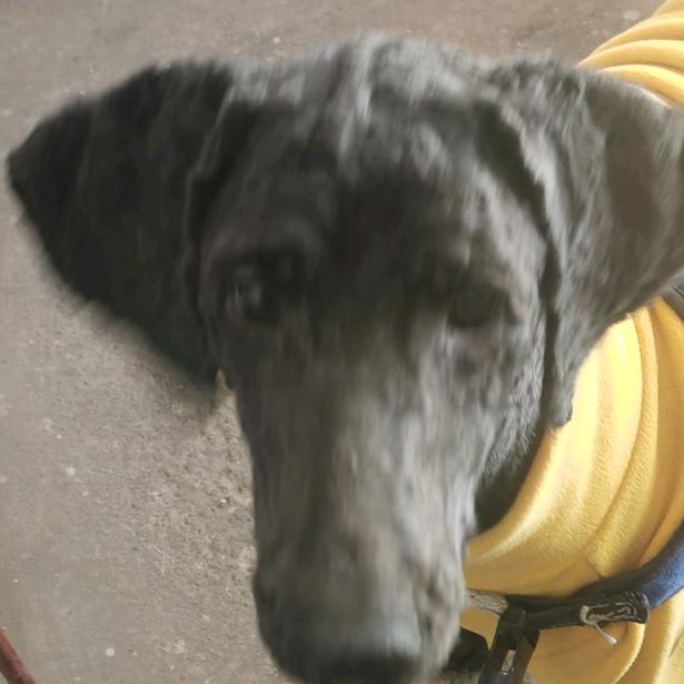 王海柱。地铁跑酷。