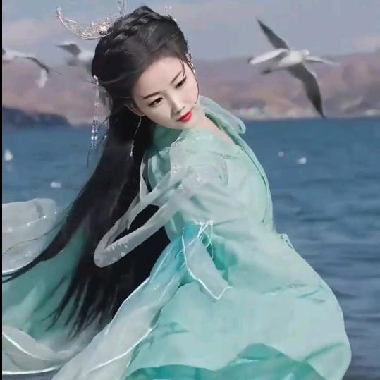 一花一世界