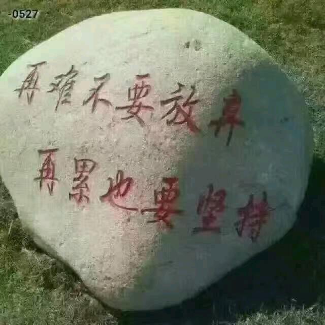 不离不弃