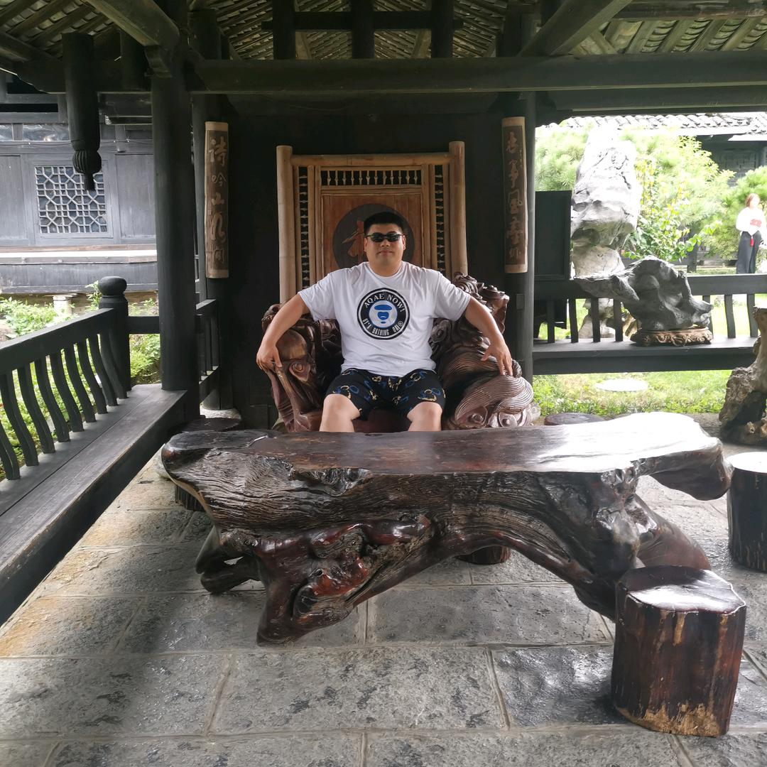 A杨家将