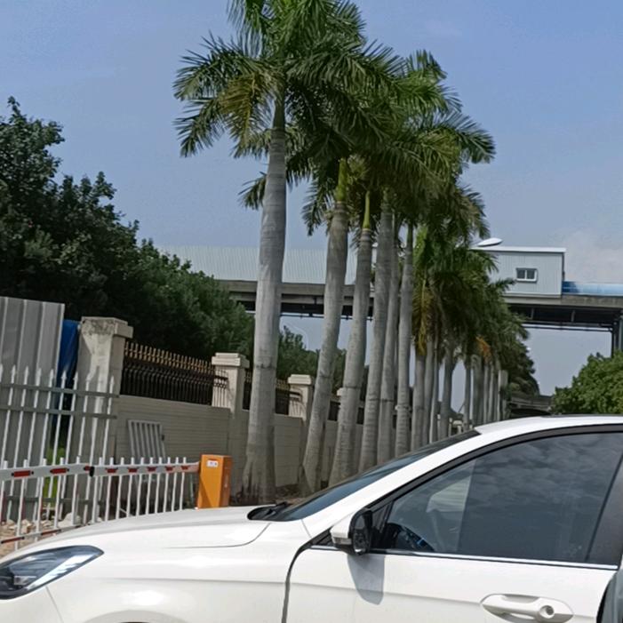 一路顺风
