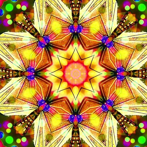 万花故事会