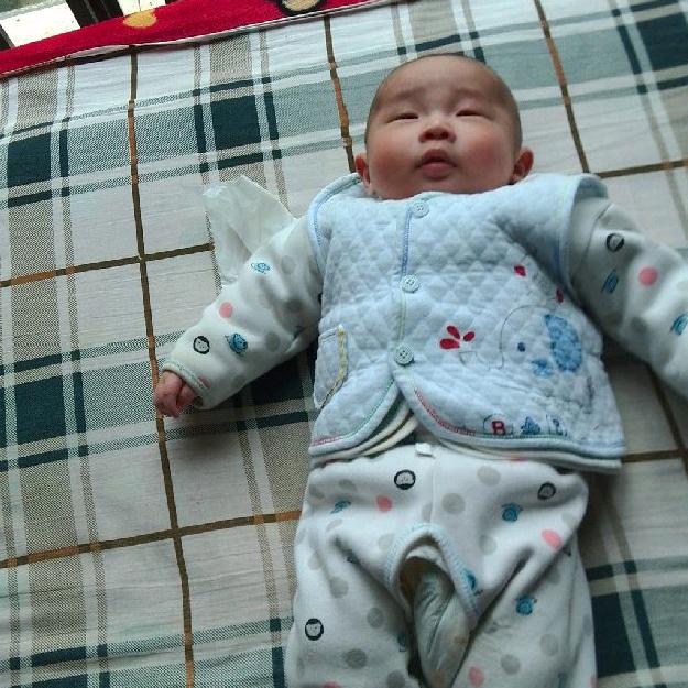 子龙
