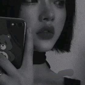 圆宝