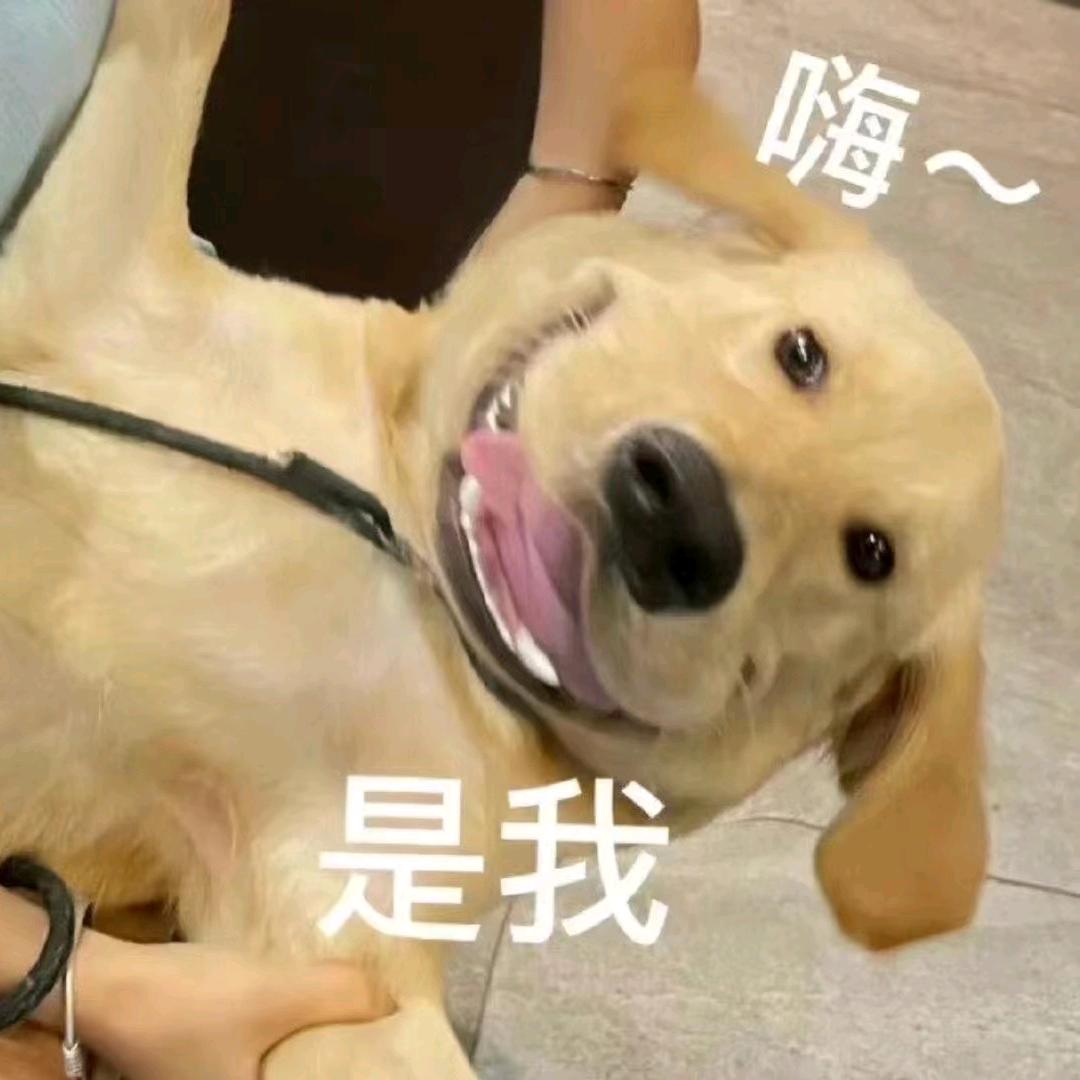 蹦哒小卢