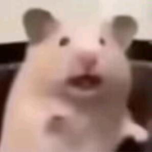 愿蘑菇照亮总统府