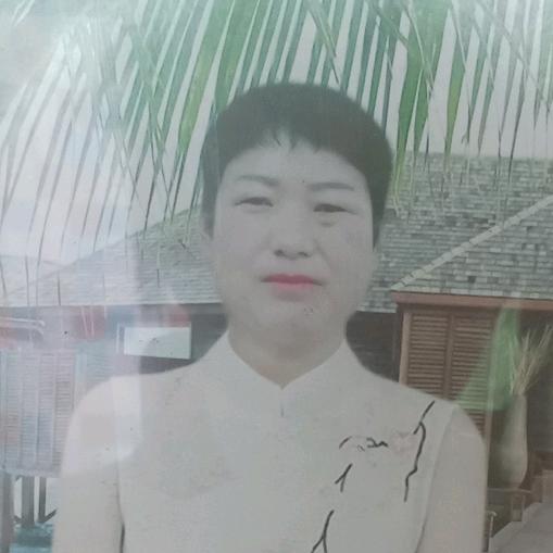 夏天里的狐狸