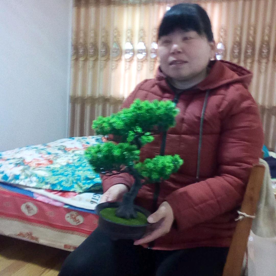 平安:幸福(梦想小号②)
