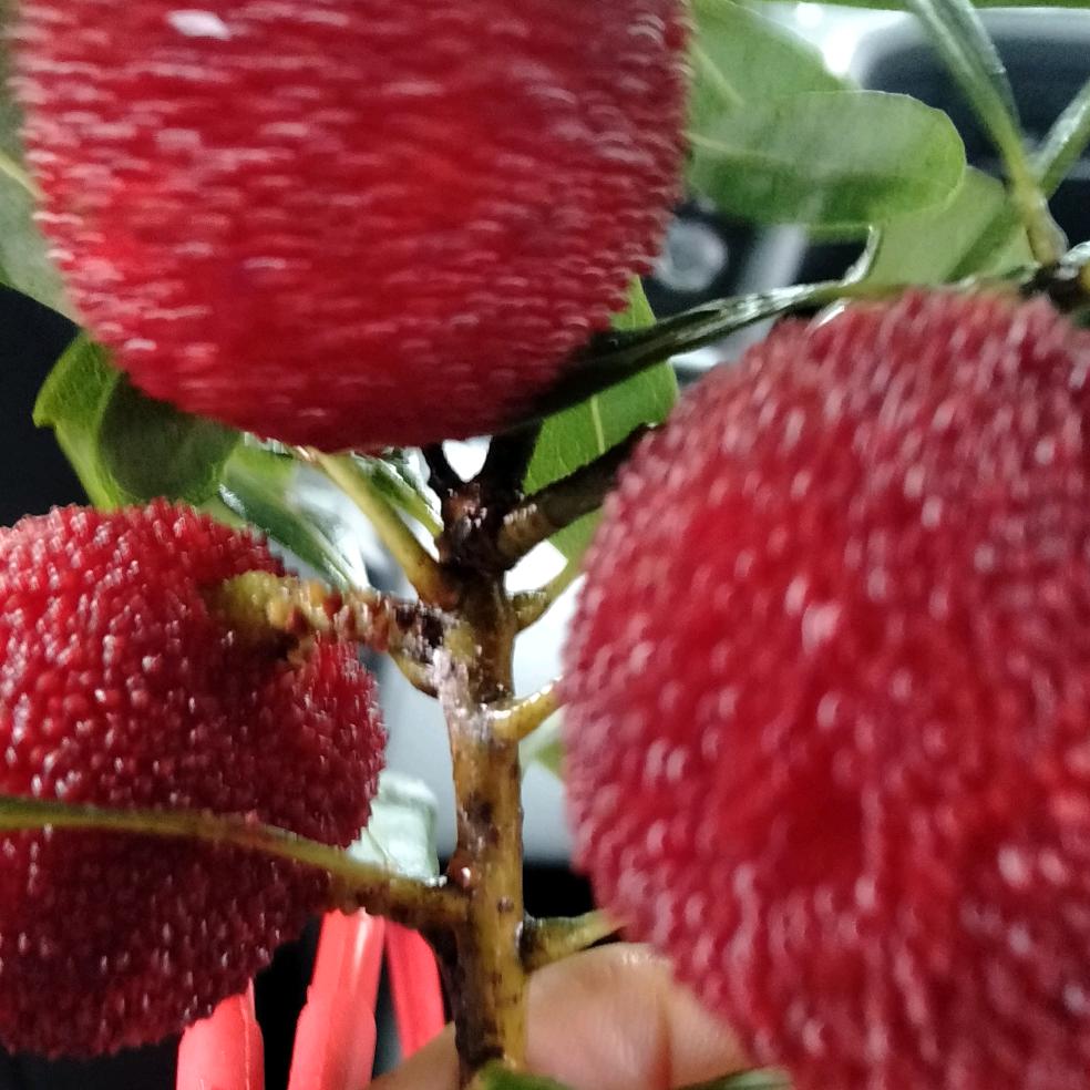 万泉河，五指山