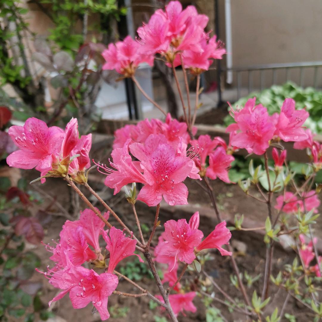 🍒会惠🍒
