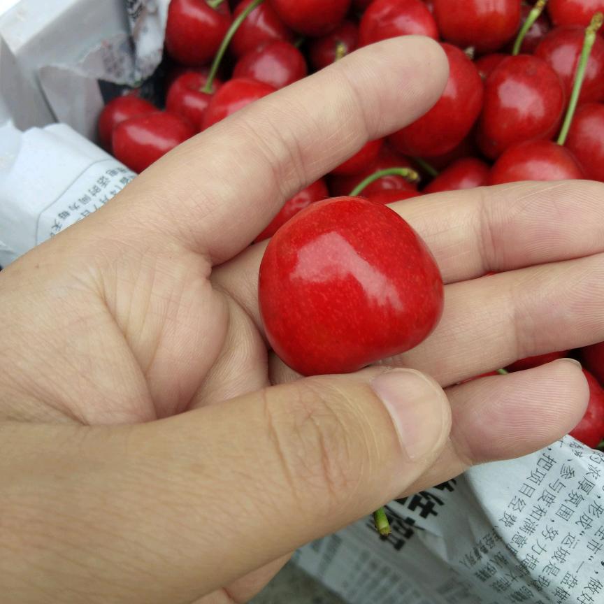 问他