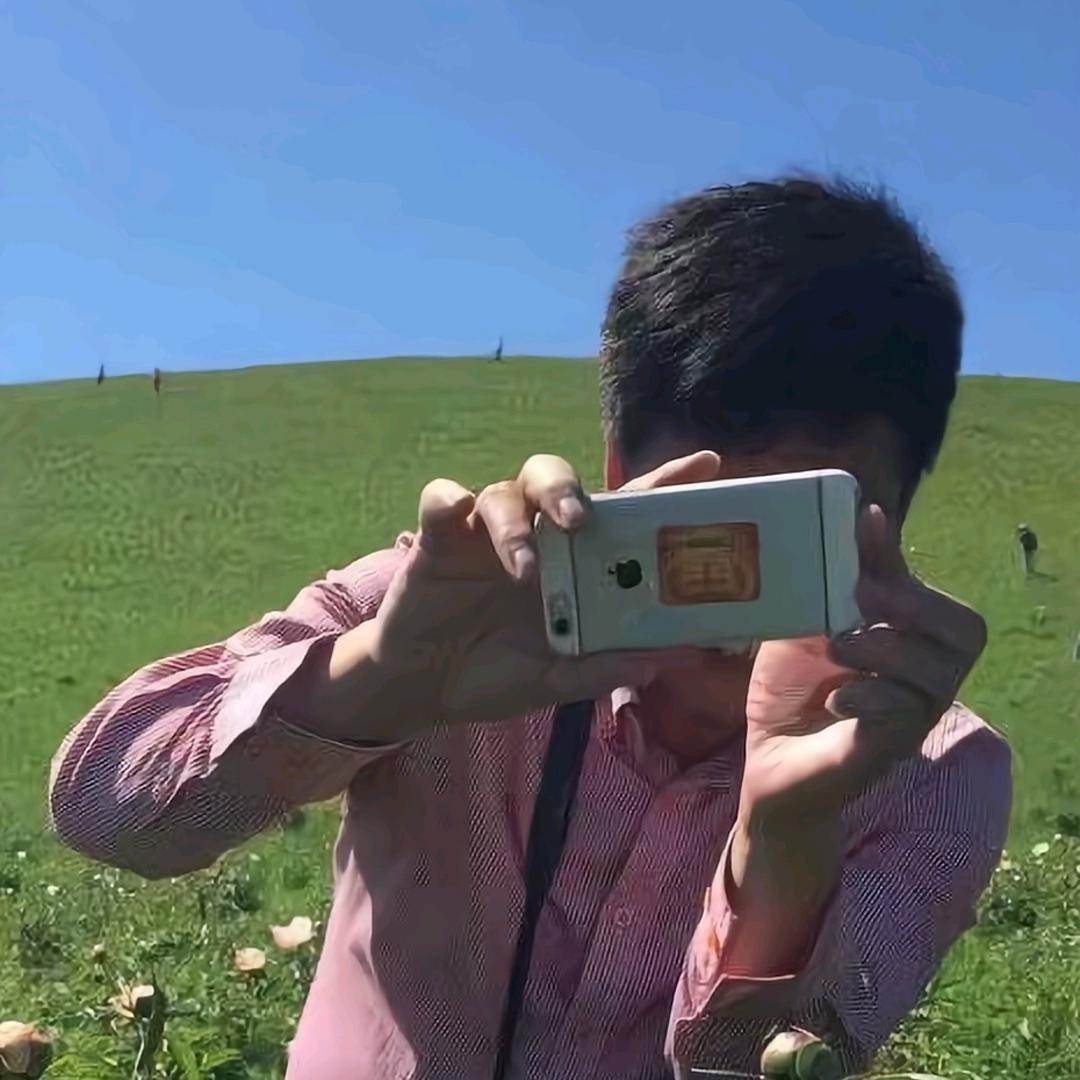 懒熊