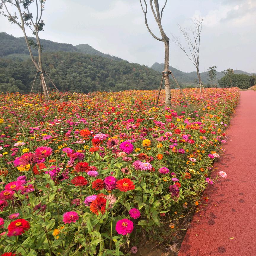 街舞涛涛（随心）