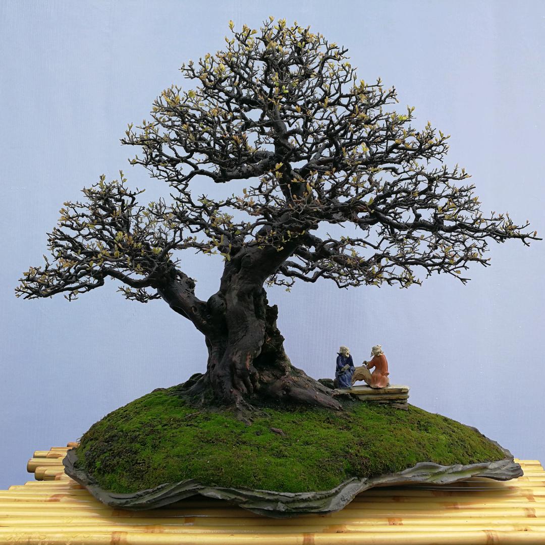 青州市恒亮景观园艺