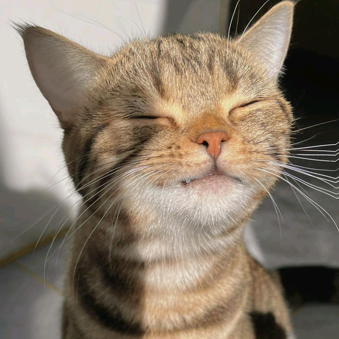 🌈🌈迈克尔杰克僧