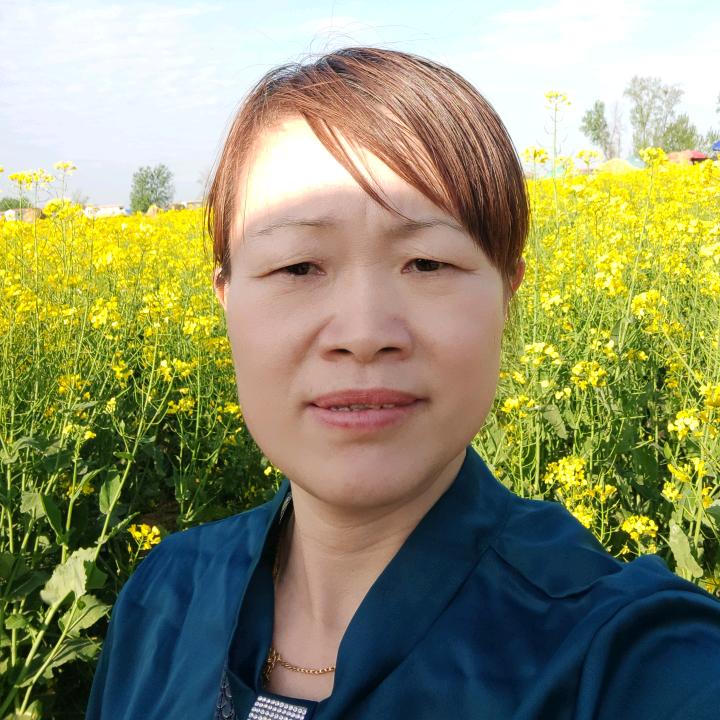 假如有如果