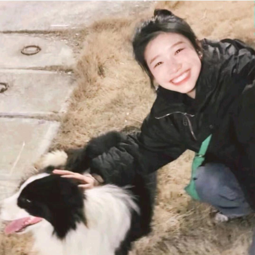钢牙蕉太狼