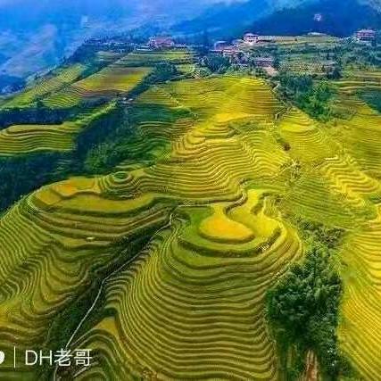 富