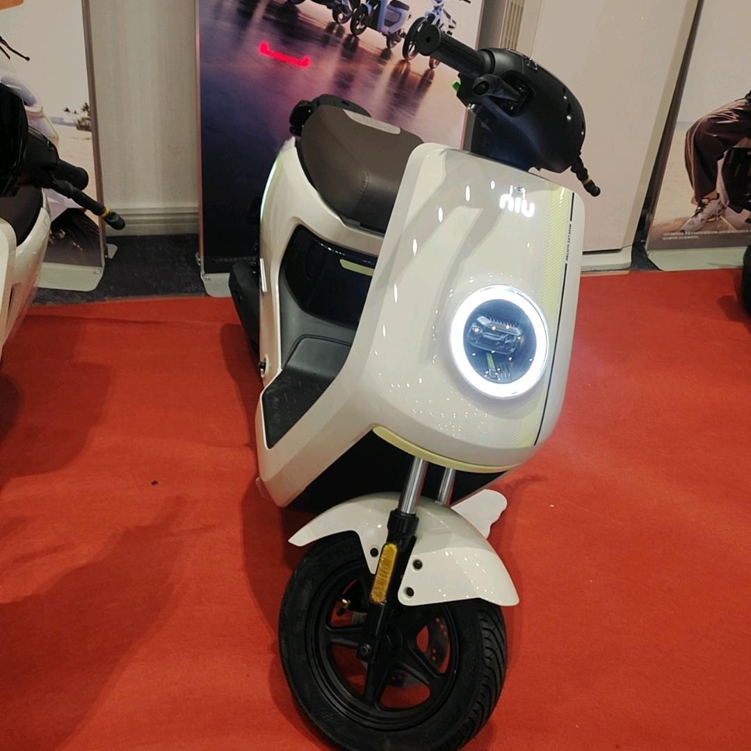 小牛电动(大屯路店)