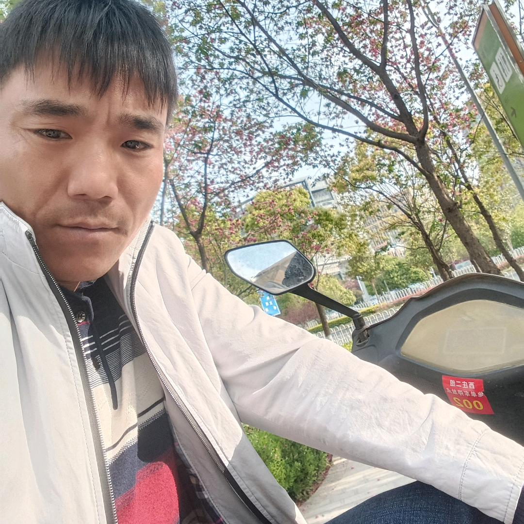 自由人生，，，，，，，，