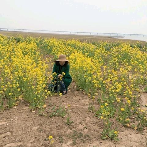 黄杏兰惠民超市·TIFICY(原阳店)