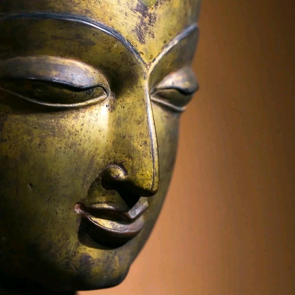 是小飛飛也是嘉国先生