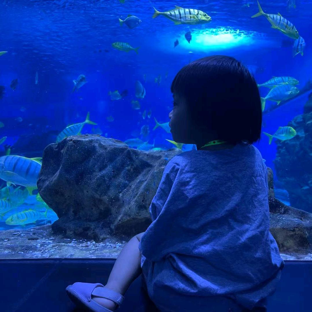 一堆小金栗🌰🌰