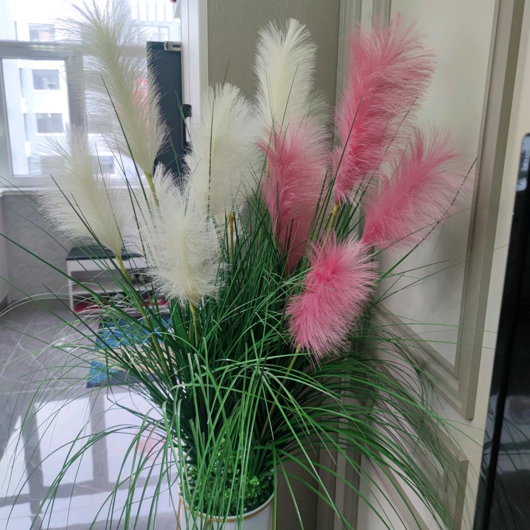 不发脾气只发财