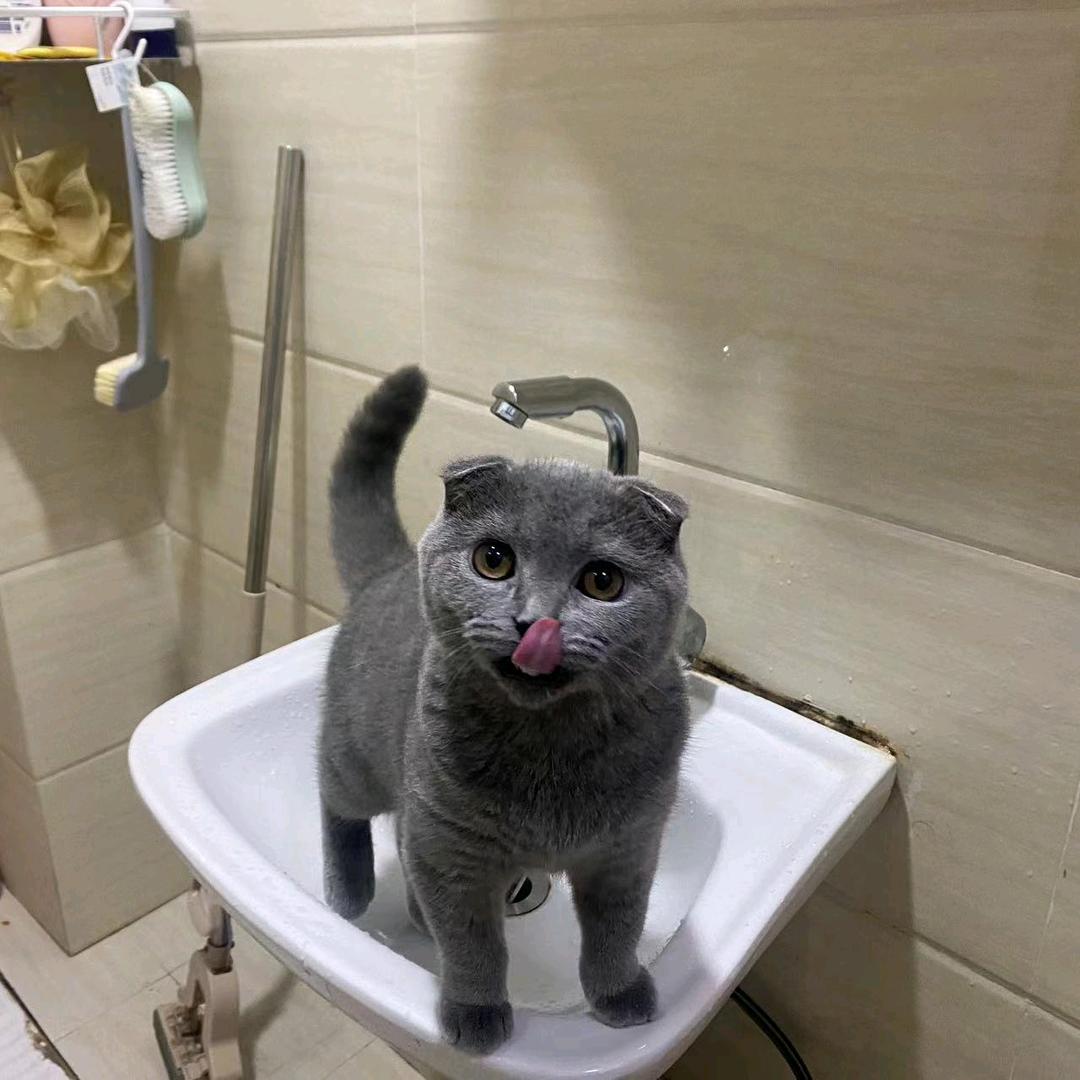 韵味