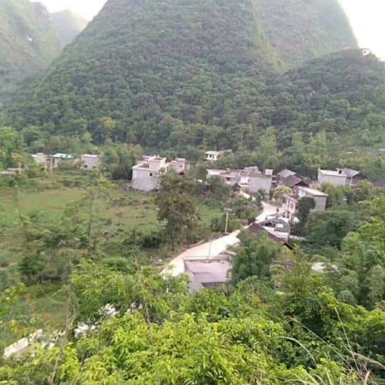 一枪半试闯喷涂