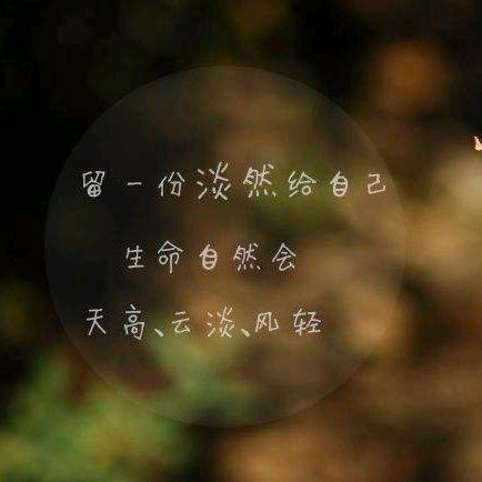 风行者斯坦森