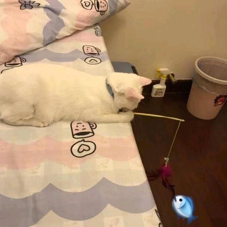 小肆